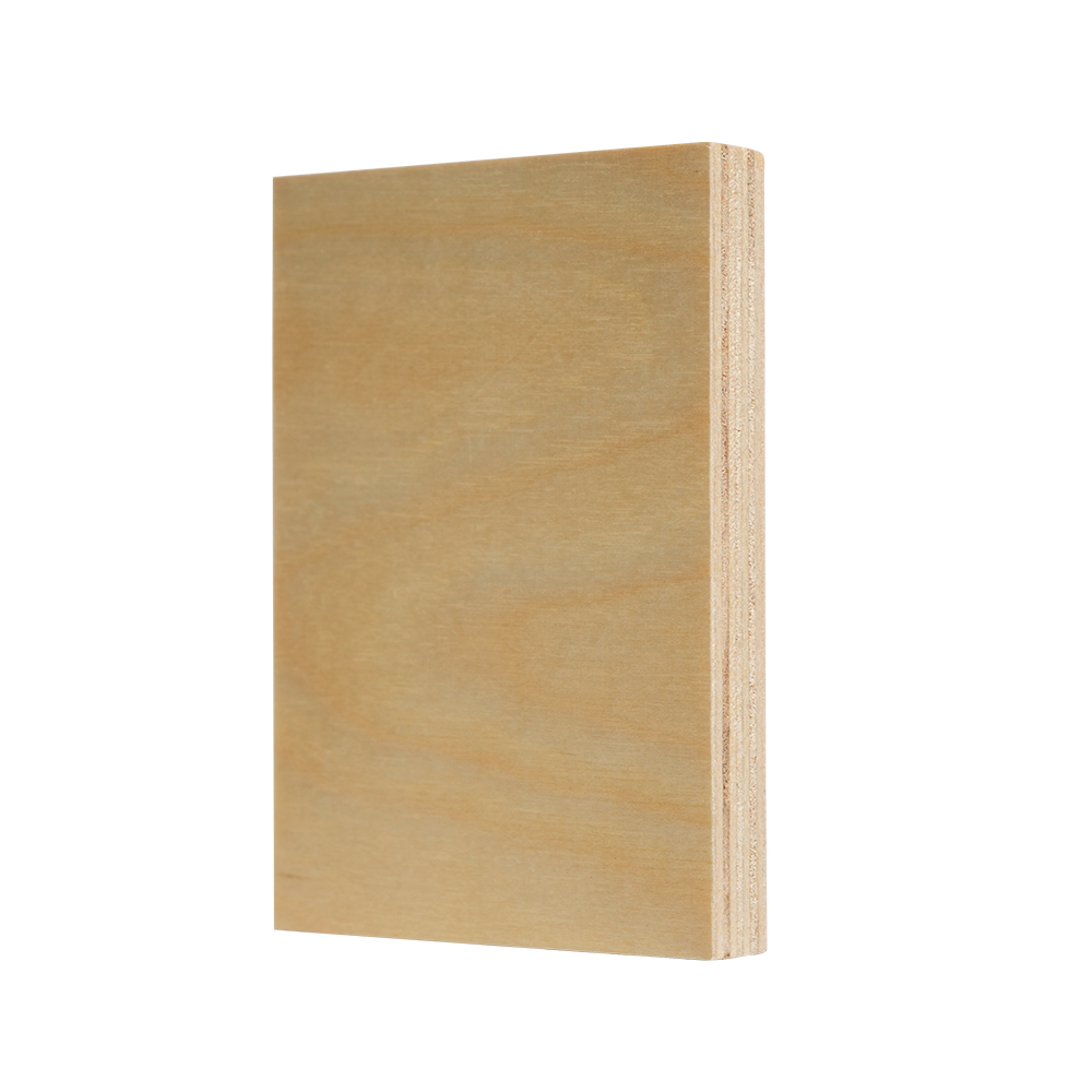 Ván ép bạch dương loại trung (BB/BB & BB/CP)