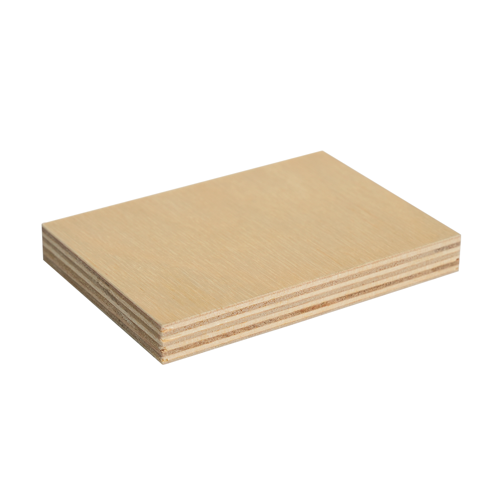 Ván ép bạch dương loại trung (BB/BB & BB/CP)