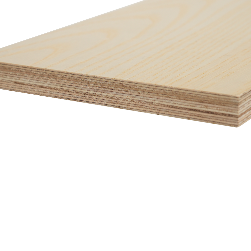 Ván ép bạch dương phủ gỗ 