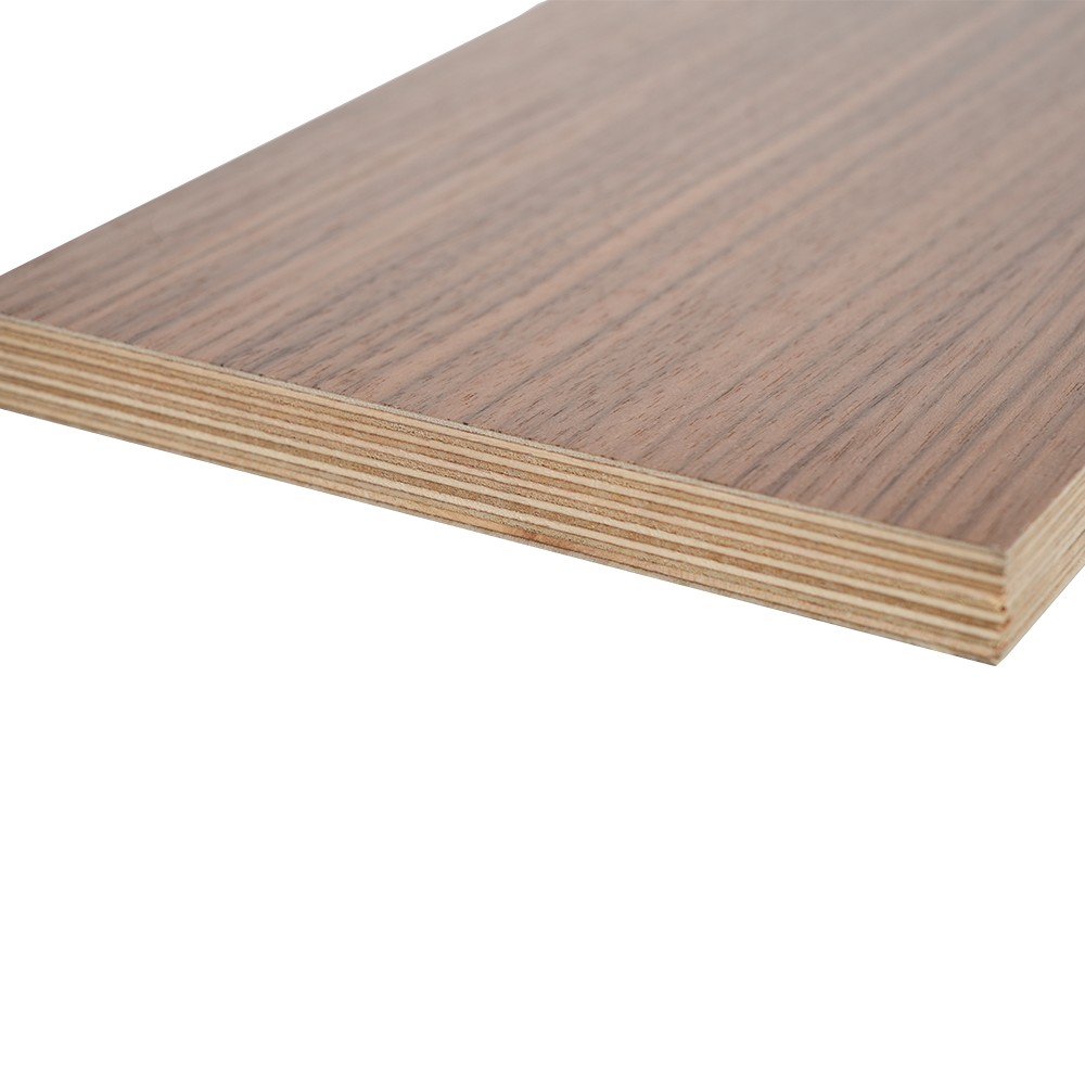 Ván ép bạch dương phủ gỗ 