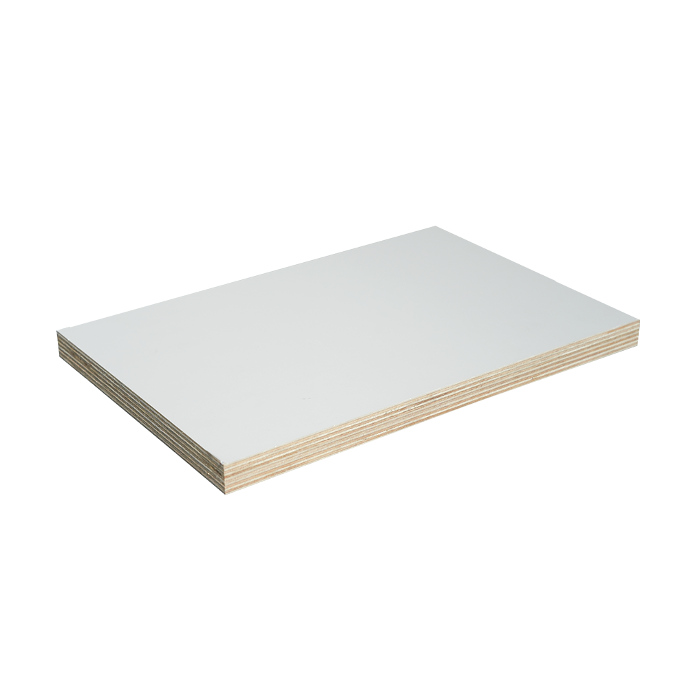 Ván ép bạch dương phủ polyester