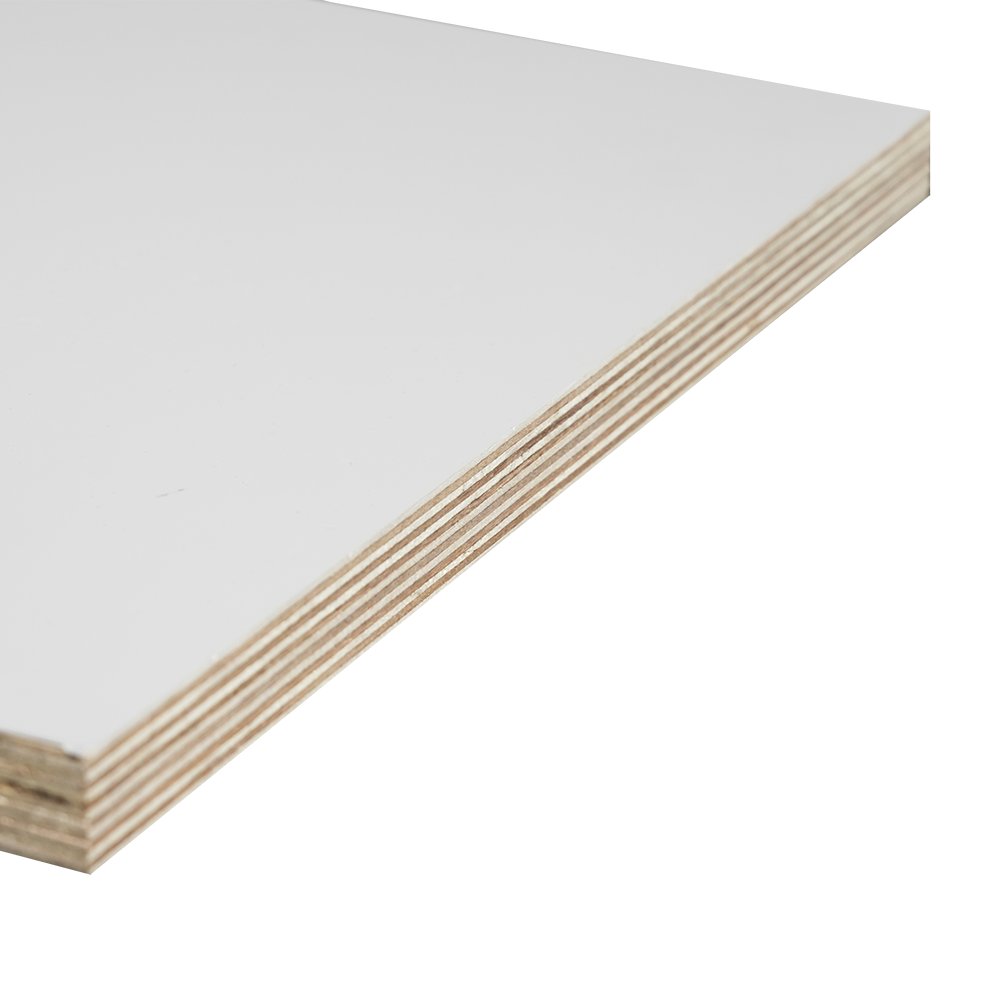 Ván ép bạch dương phủ polyester