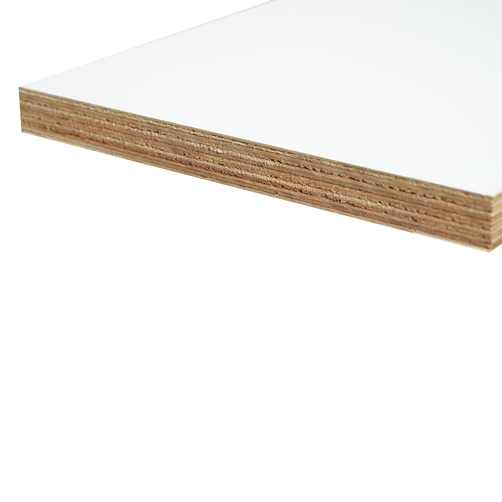 Ván ép bạch dương phủ polyester